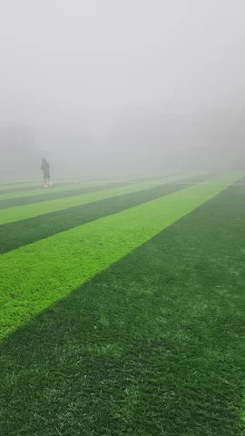 Turf photo 4