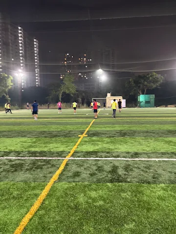 Turf photo 2