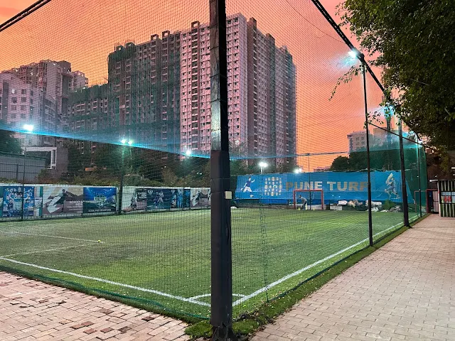 Turf photo 2