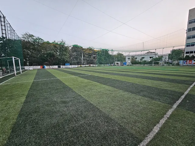 Turf main photo