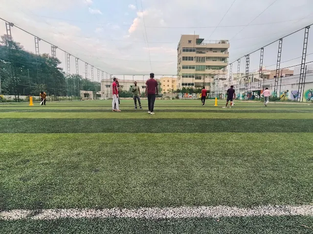 Turf photo 2