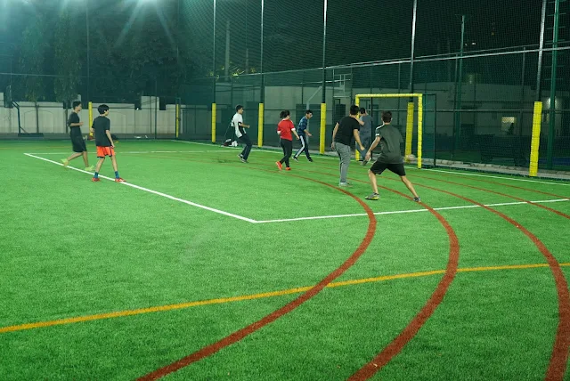 Turf photo 2