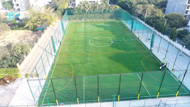Turf photo 3
