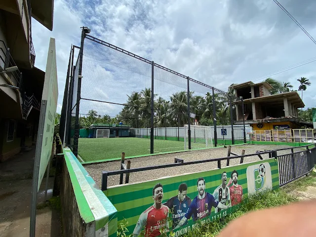 Turf photo 7