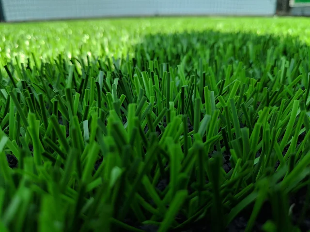 Turf photo 2
