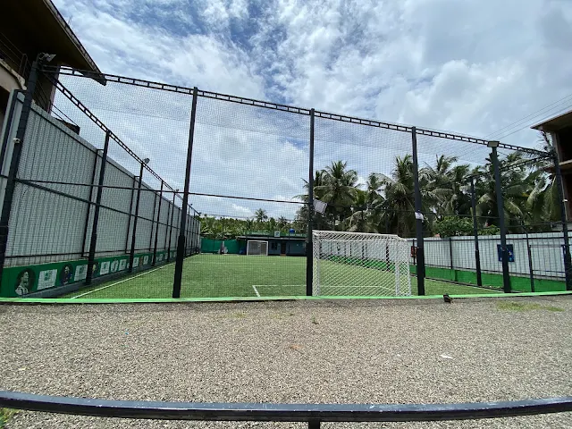 Turf photo 3
