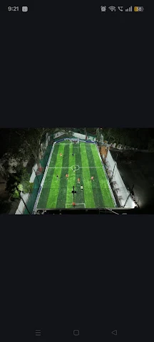 Turf photo 2