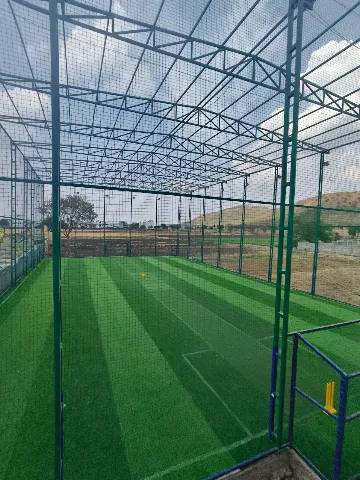 Turf photo 2