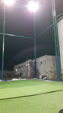 Turf photo 3
