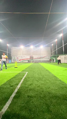 The falcon turf