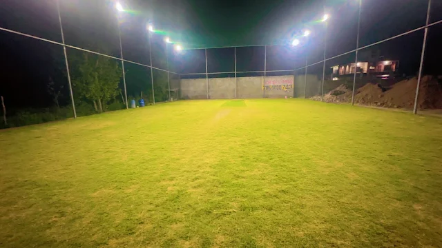 Turf photo 4