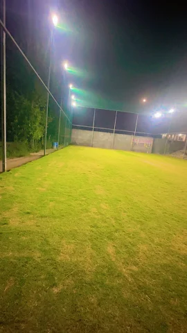 Turf photo 2