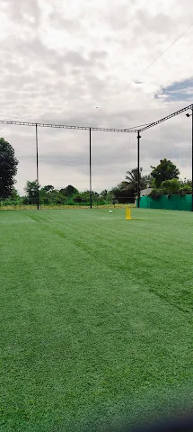 Turf photo 5