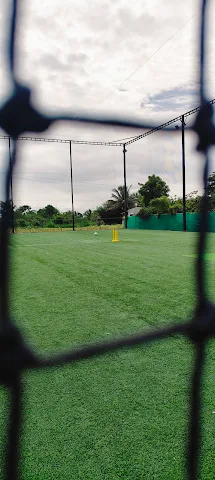 Turf photo 6
