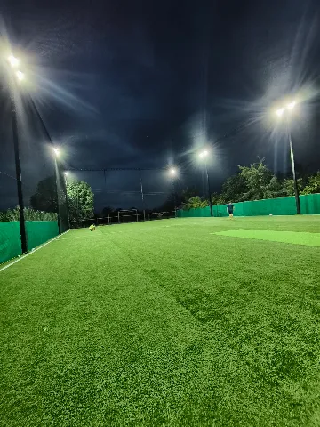 Turf photo 2