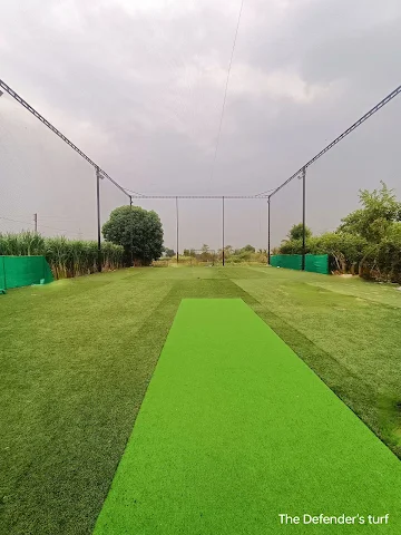 Turf photo 3