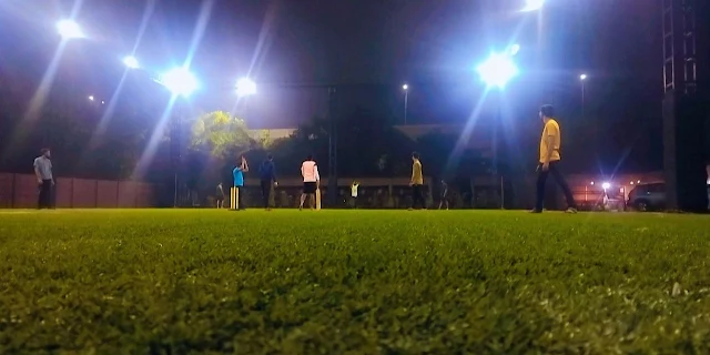 Turf photo 5