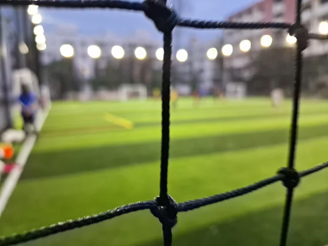 Turf photo 3