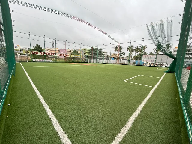 Turf photo 2