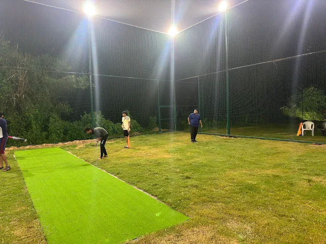 Turf main photo