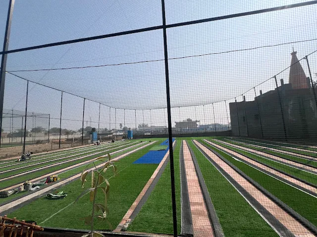 Turf photo 2