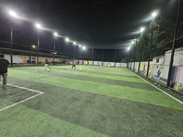 Turf photo 2