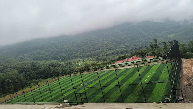 Turf photo 6