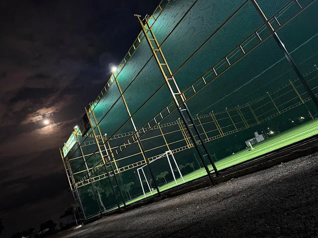 Turf photo 5