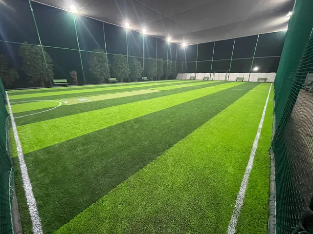 Turf photo 2