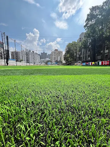 Turf photo 4