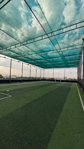 Turf photo 2