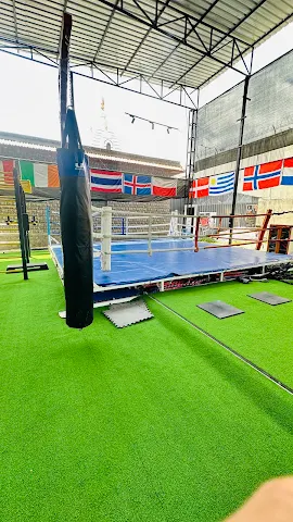 Turf main photo