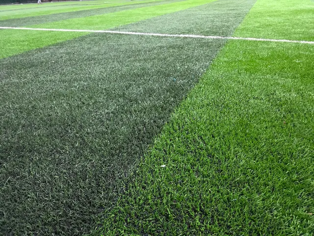 C Sports Club