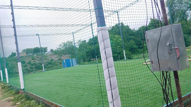 Turf photo 3
