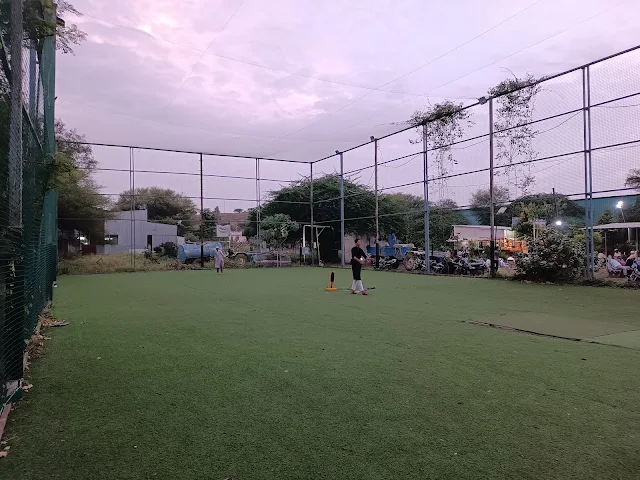 Arena Turf