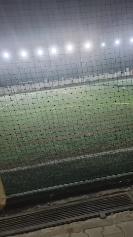 Turf photo 3