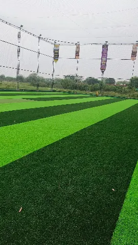 Turf photo 2