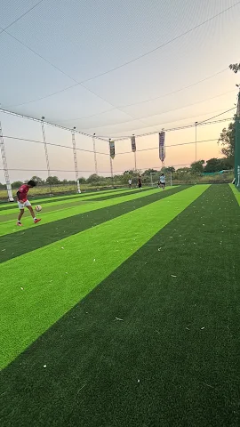 Turf photo 3