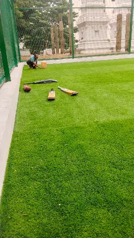 Turf photo 4