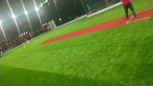 Turf photo 3