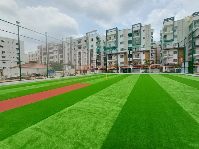 Turf photo 2