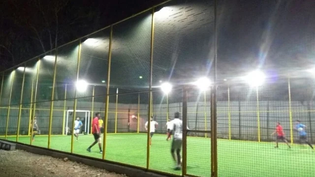 Turf photo 3