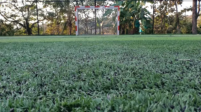 Turf photo 2