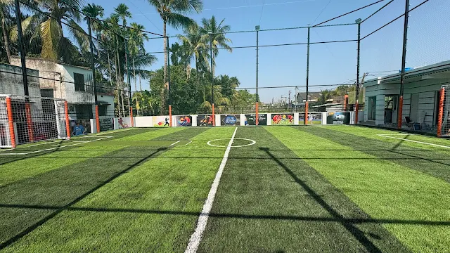 Greenline Serampore Turf