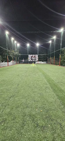 Ciara Turf Cricket