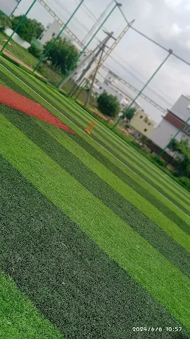 Turf photo 6