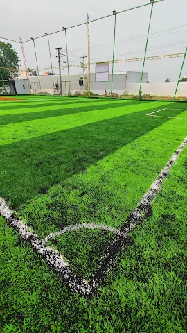 Turf photo 3