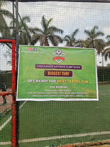 Turf photo 2