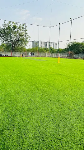 Turf photo 3