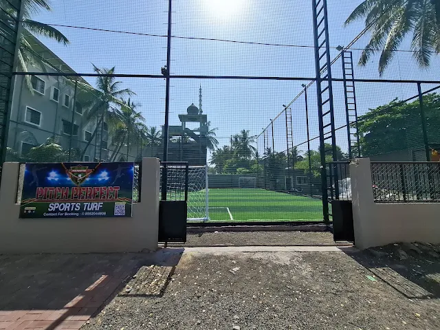 Turf photo 2